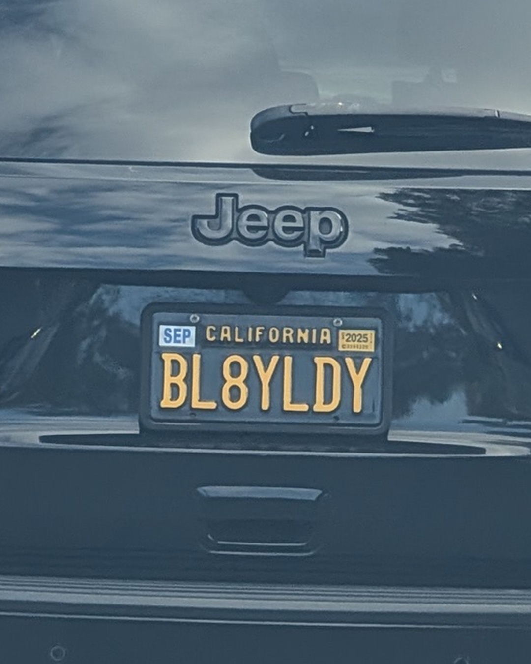 License Plate BL8LYDY