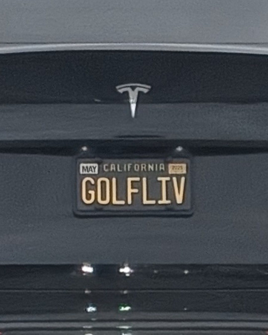 License Plate GOLFLIV