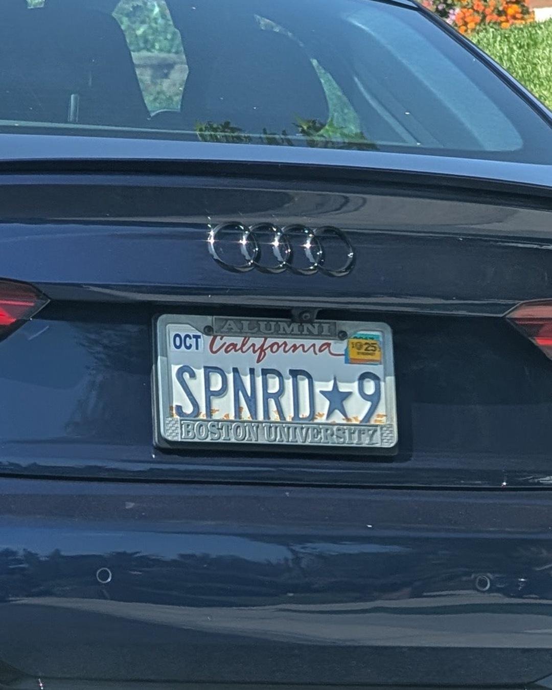 License Plate SPNRD-9