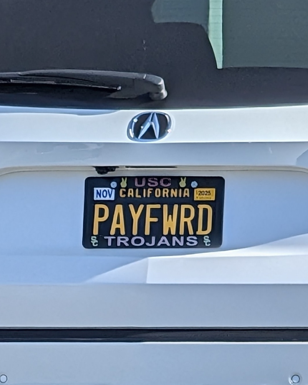 License Plate PAYFWRD