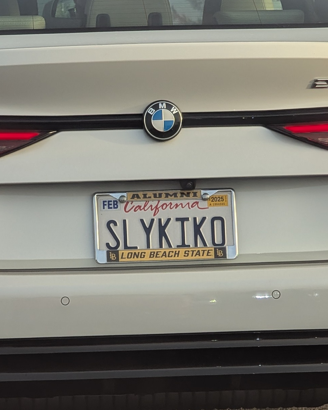 License Plate SLYKIKO