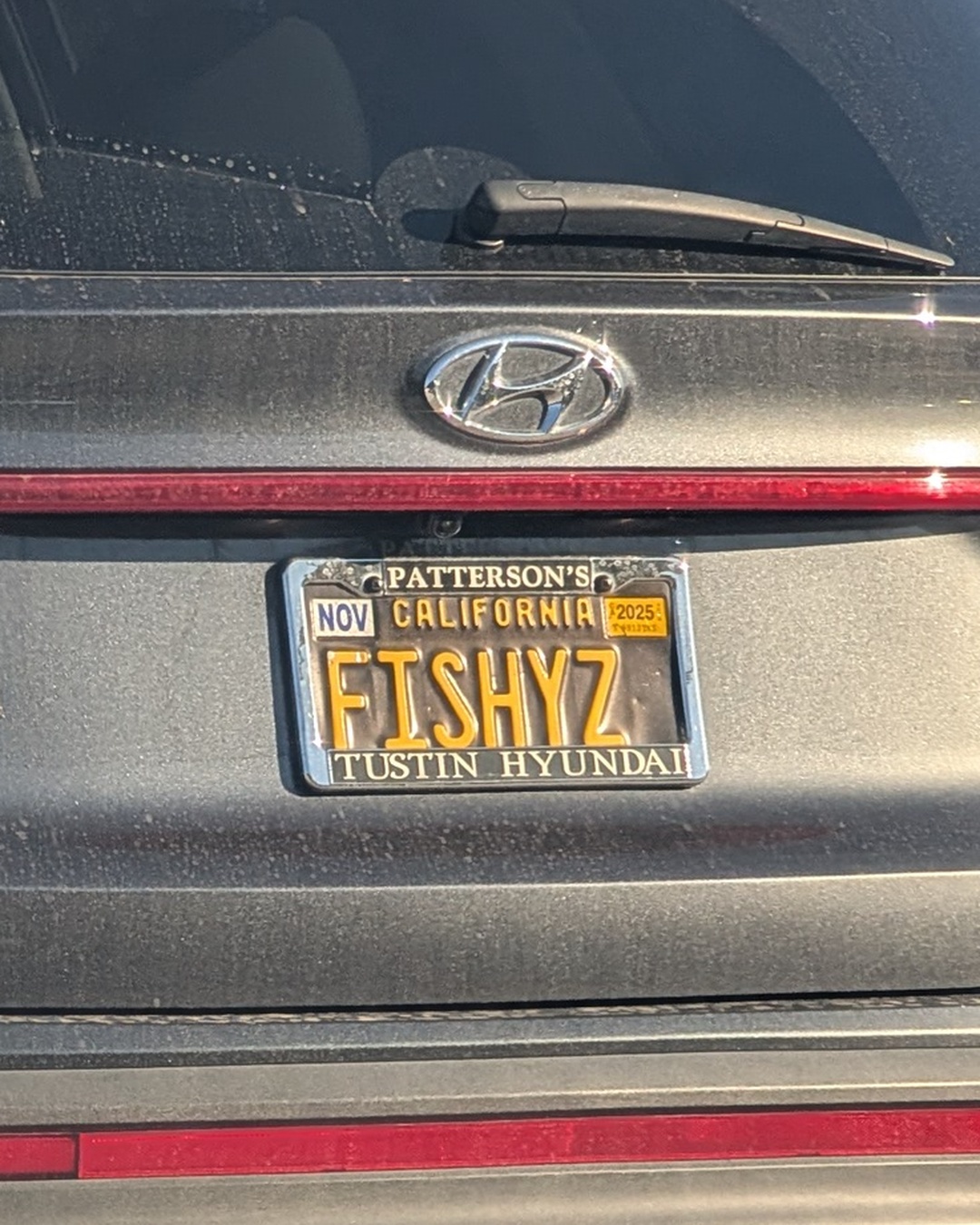 License Plate FISHYZ