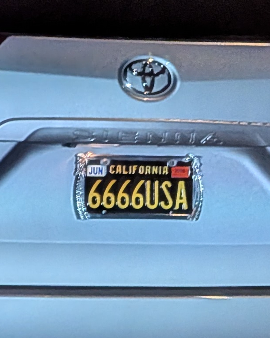 License Plate 6666USA