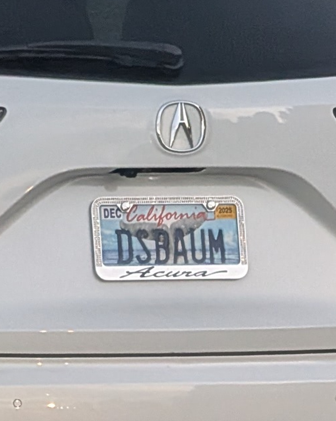 License Plate IDBAUM