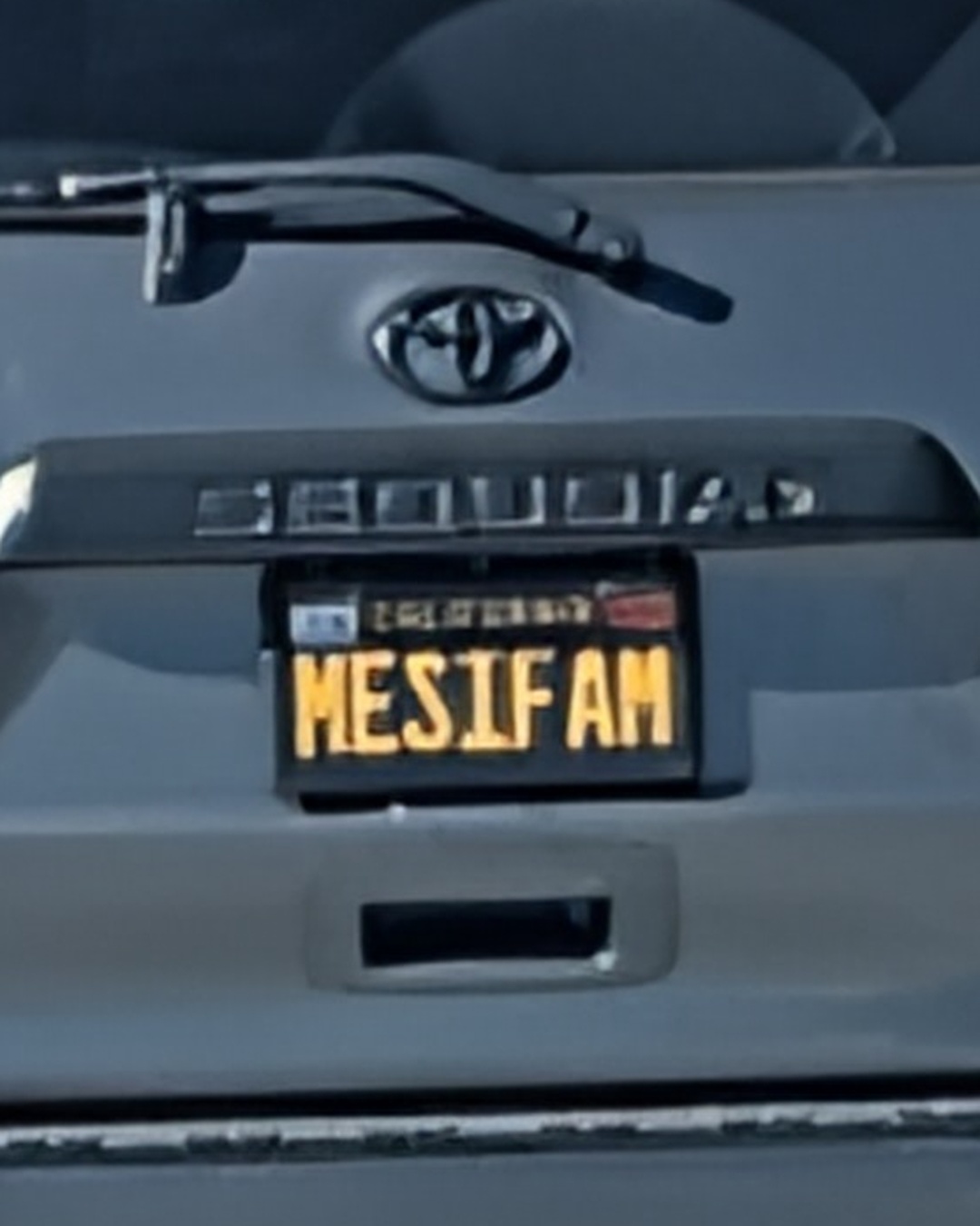 License Plate HESIFAM