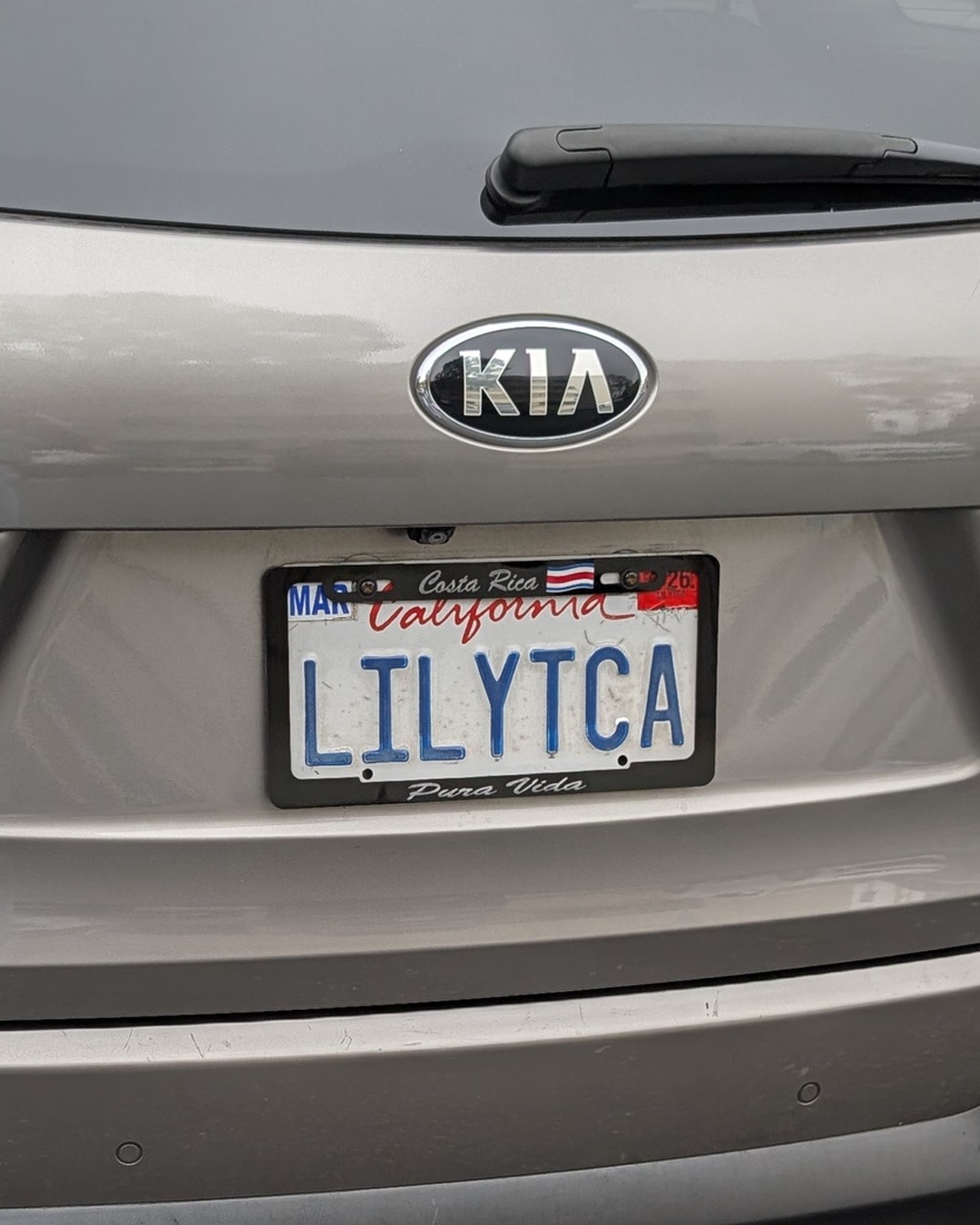 License Plate LILYTCA