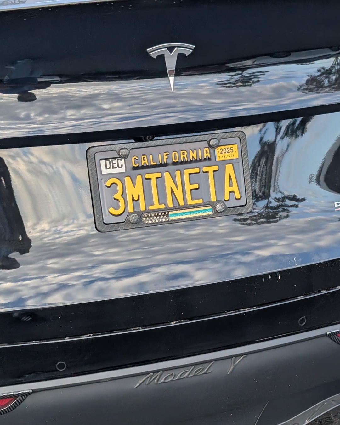 License Plate 3M1NETA