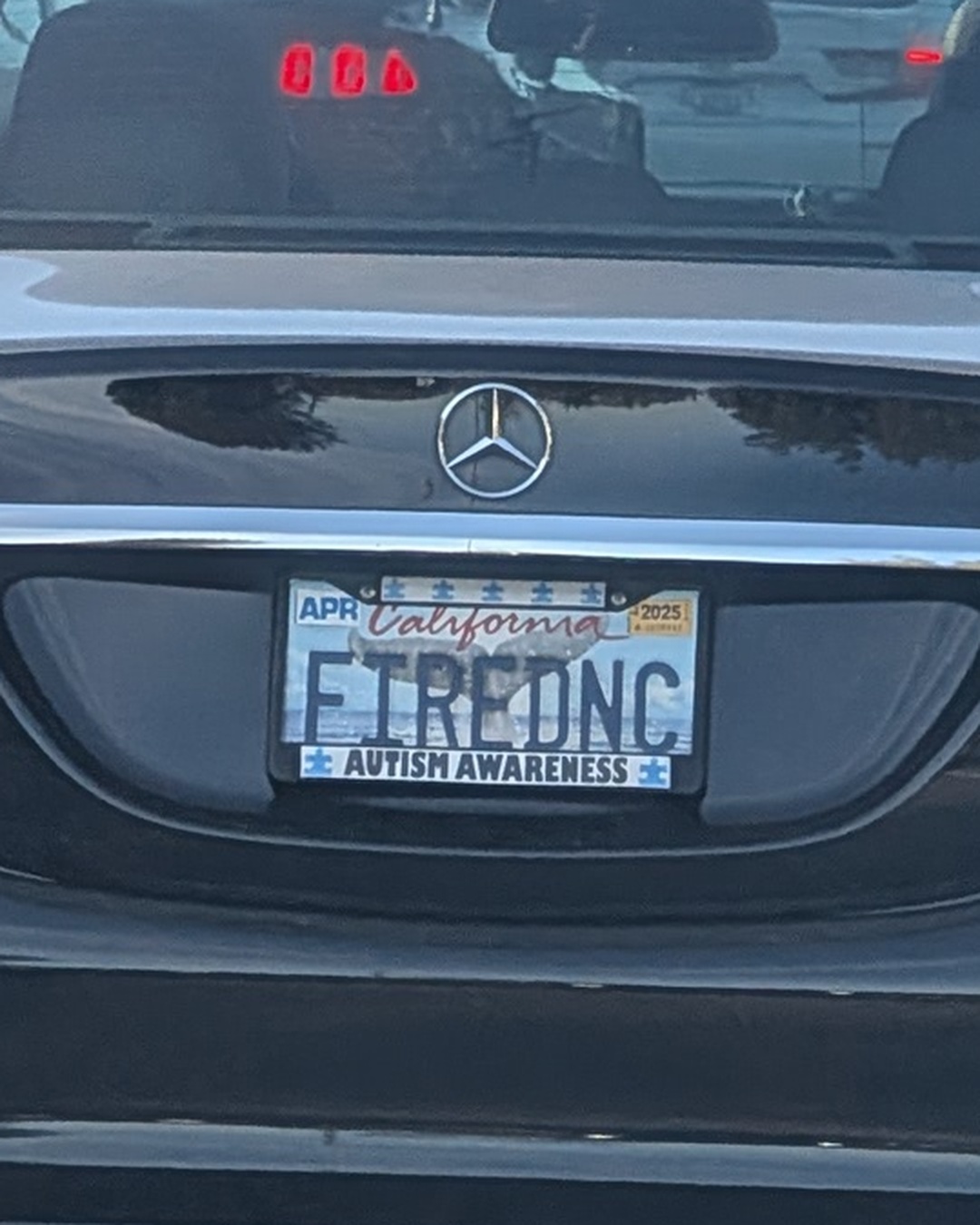 License Plate F1REDNC