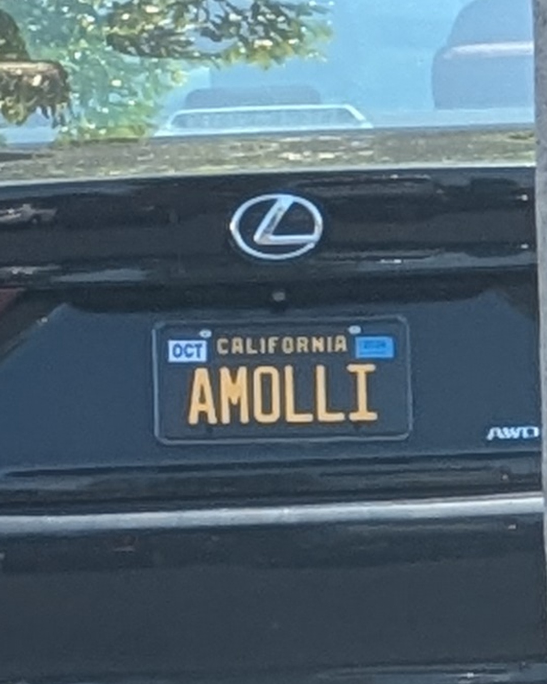License Plate AMOLLI