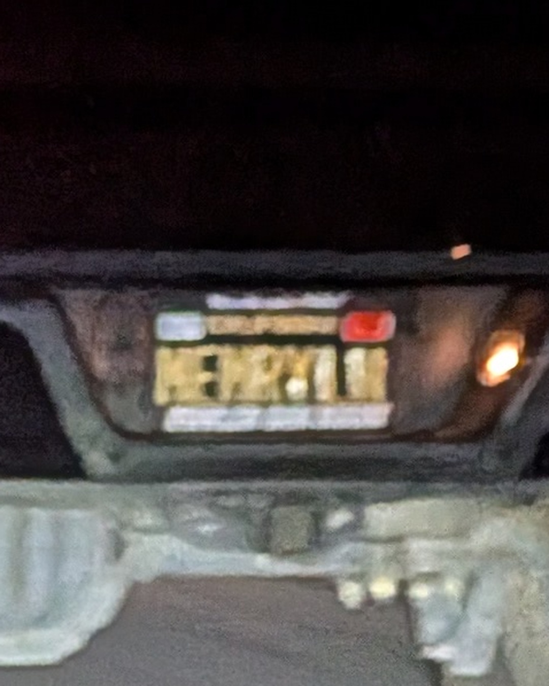License Plate MEMRYL