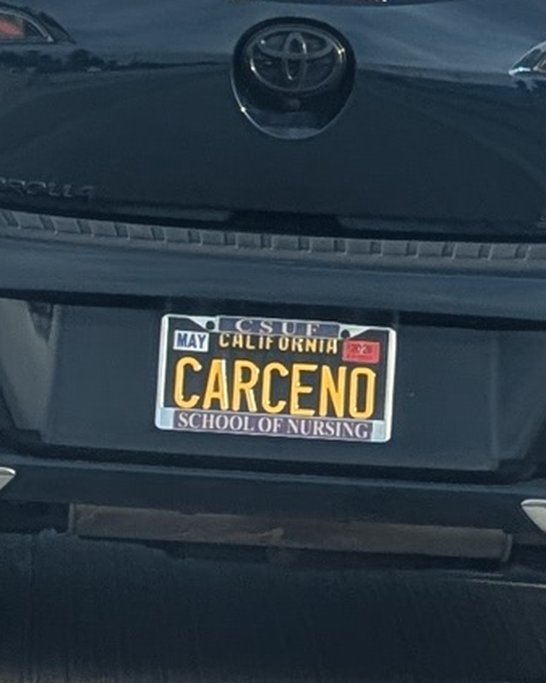 License Plate CARCENO