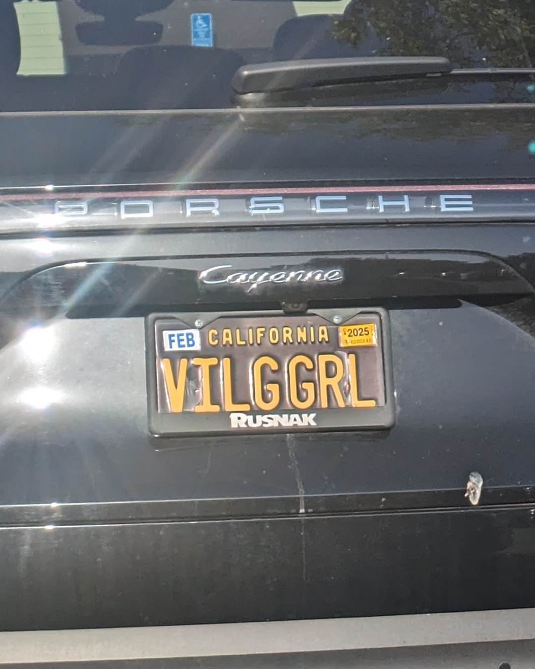 License Plate VILGRL