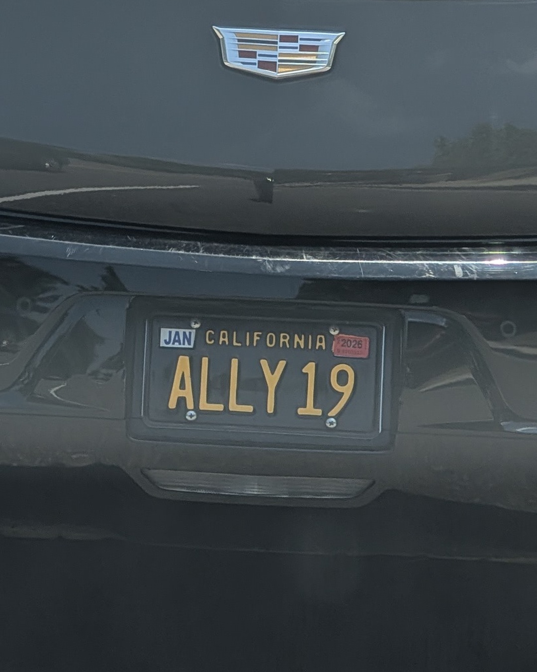 License Plate ALLY 19