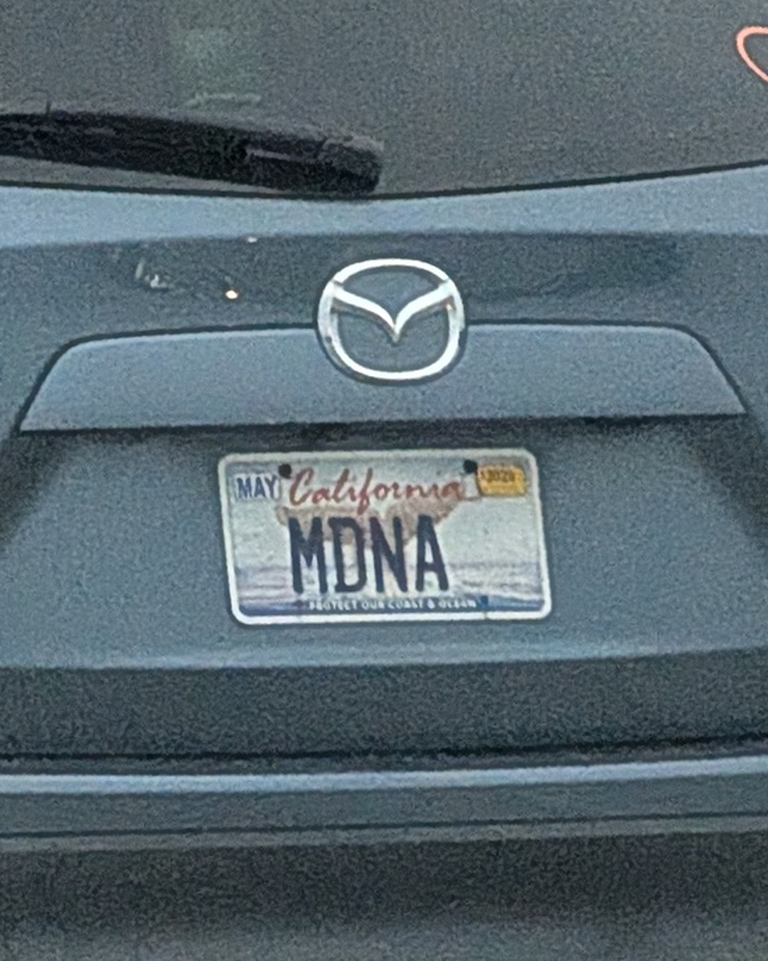 License Plate MDNA