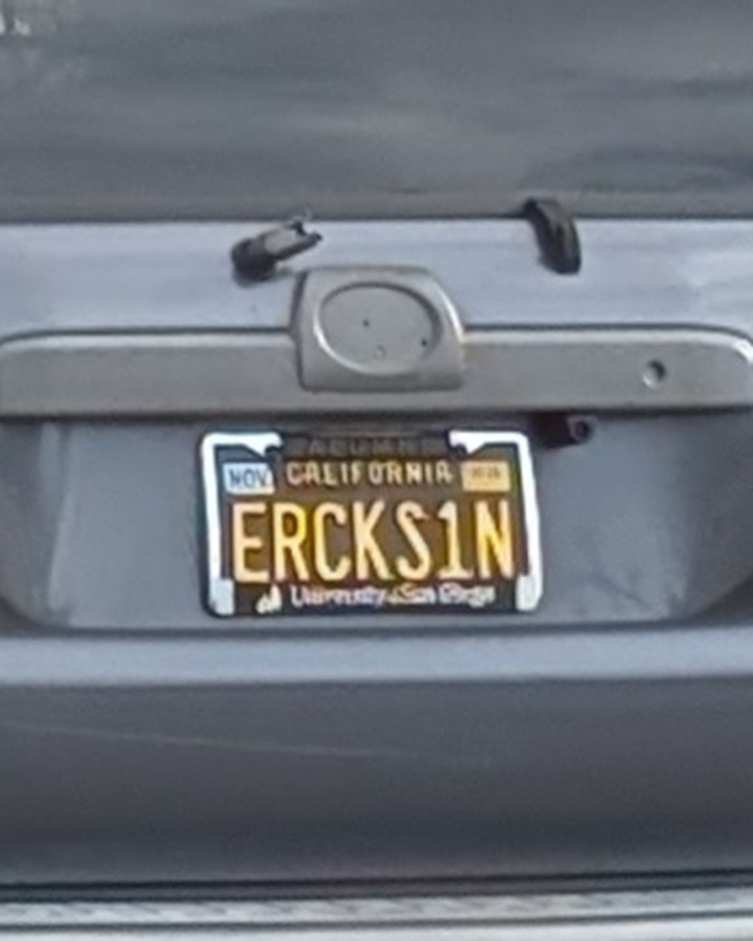 License Plate ERCKSIN