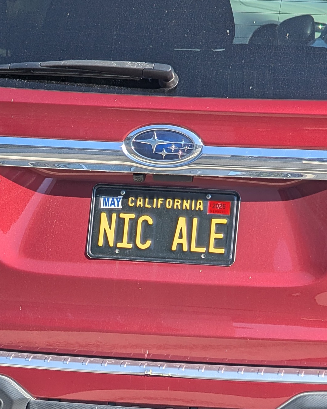 License Plate NIC ALE