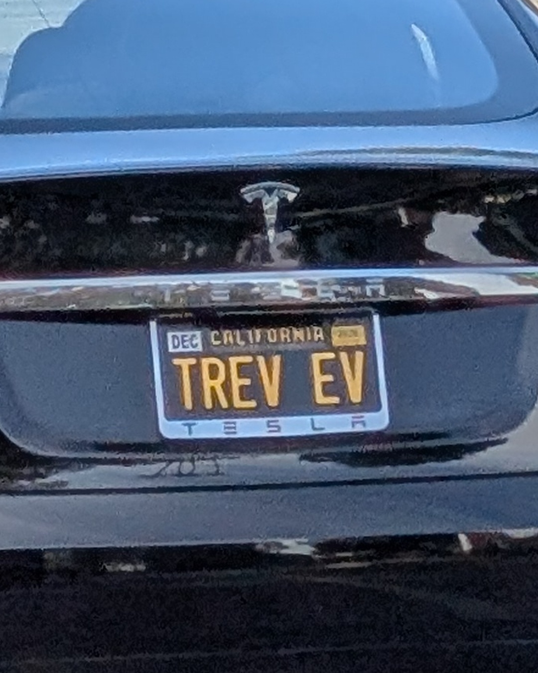 License Plate TREV EV