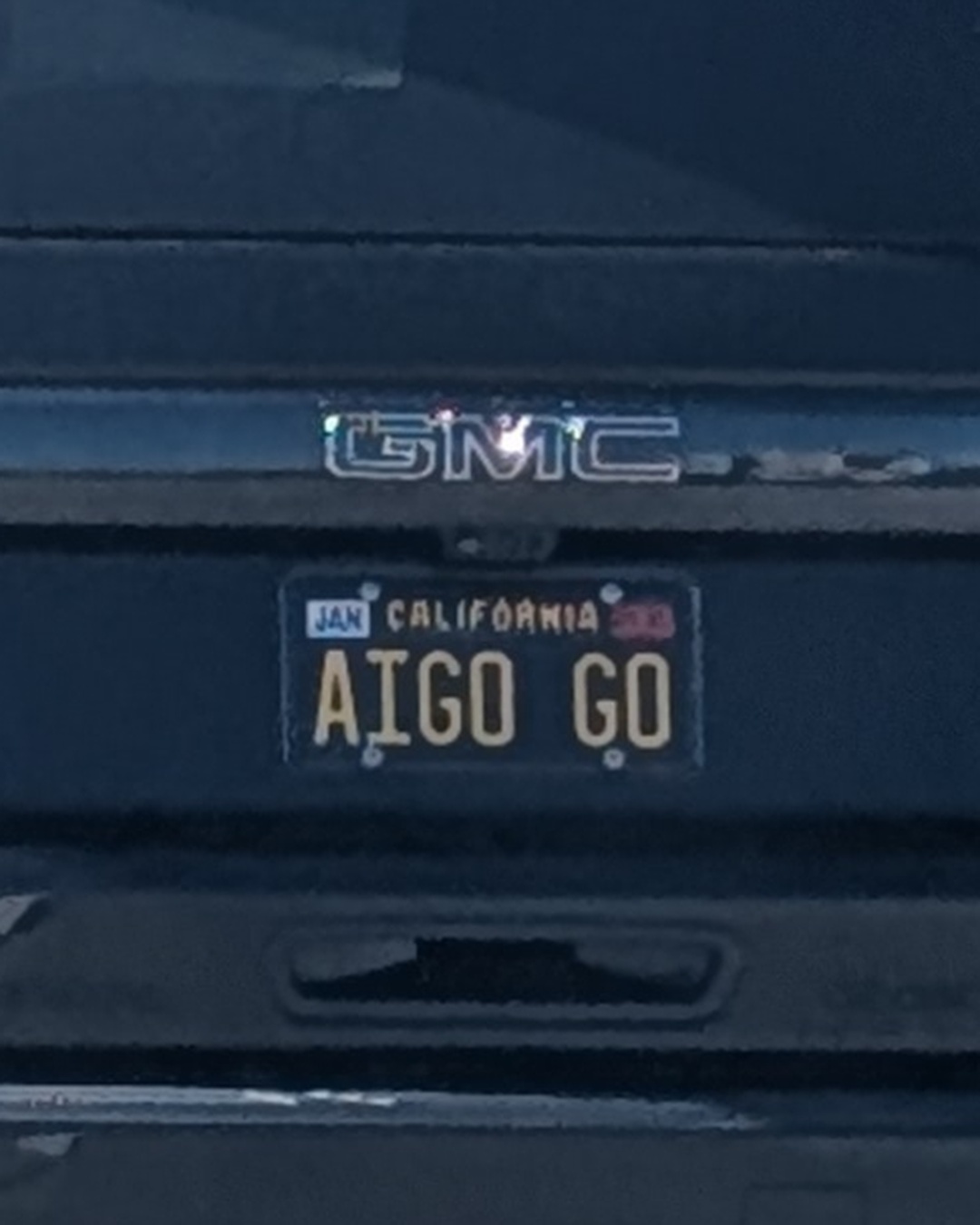 License Plate AIGO GO