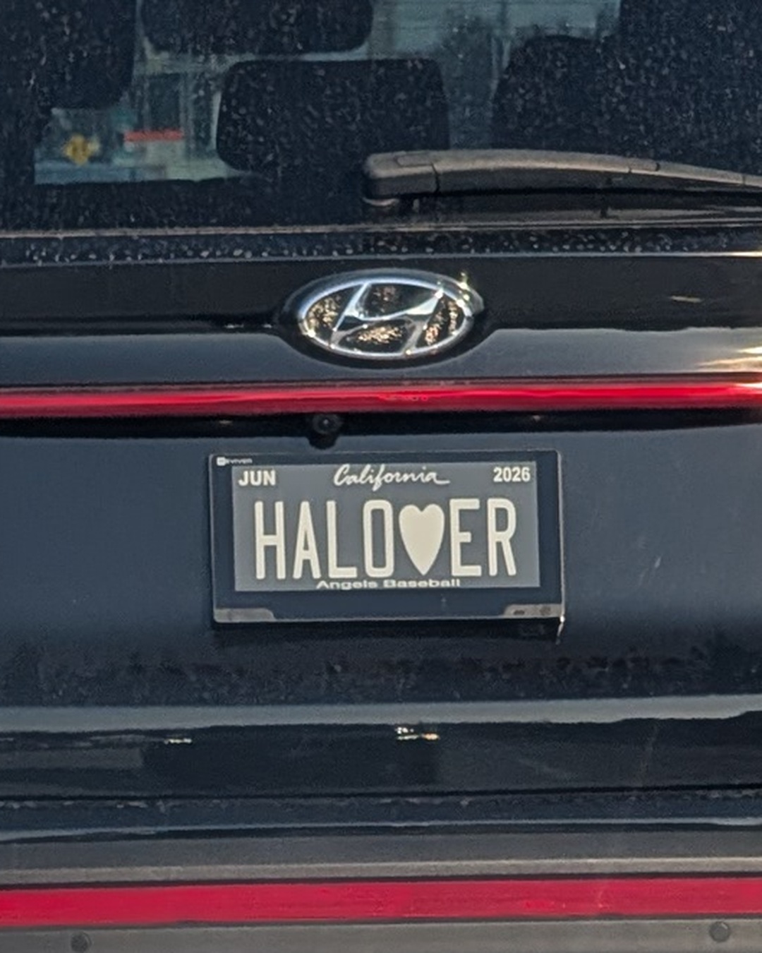 License Plate HALOVER