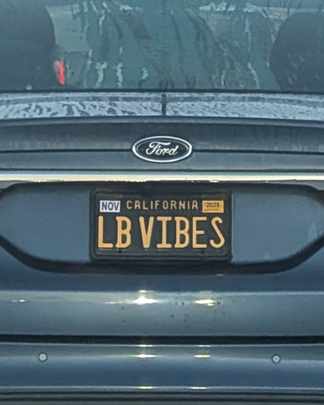 License Plate LB VIBES