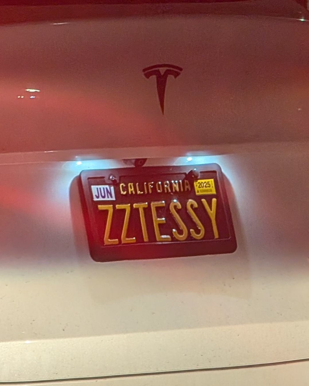 License Plate ZZTESSY