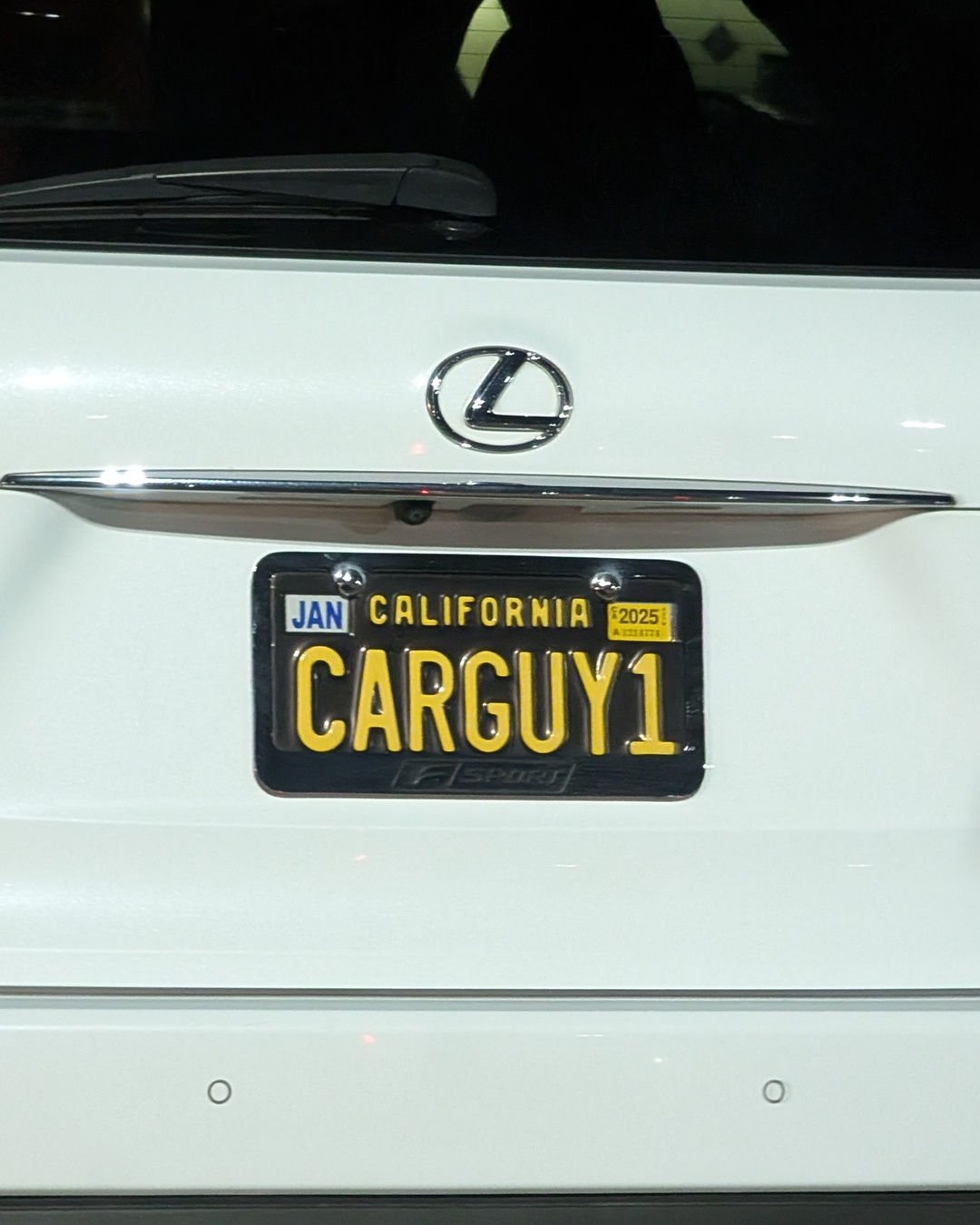 License Plate CARGUY1