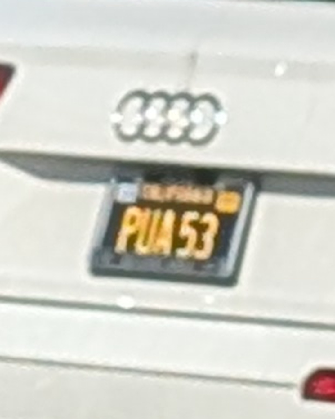 License Plate PUM 53