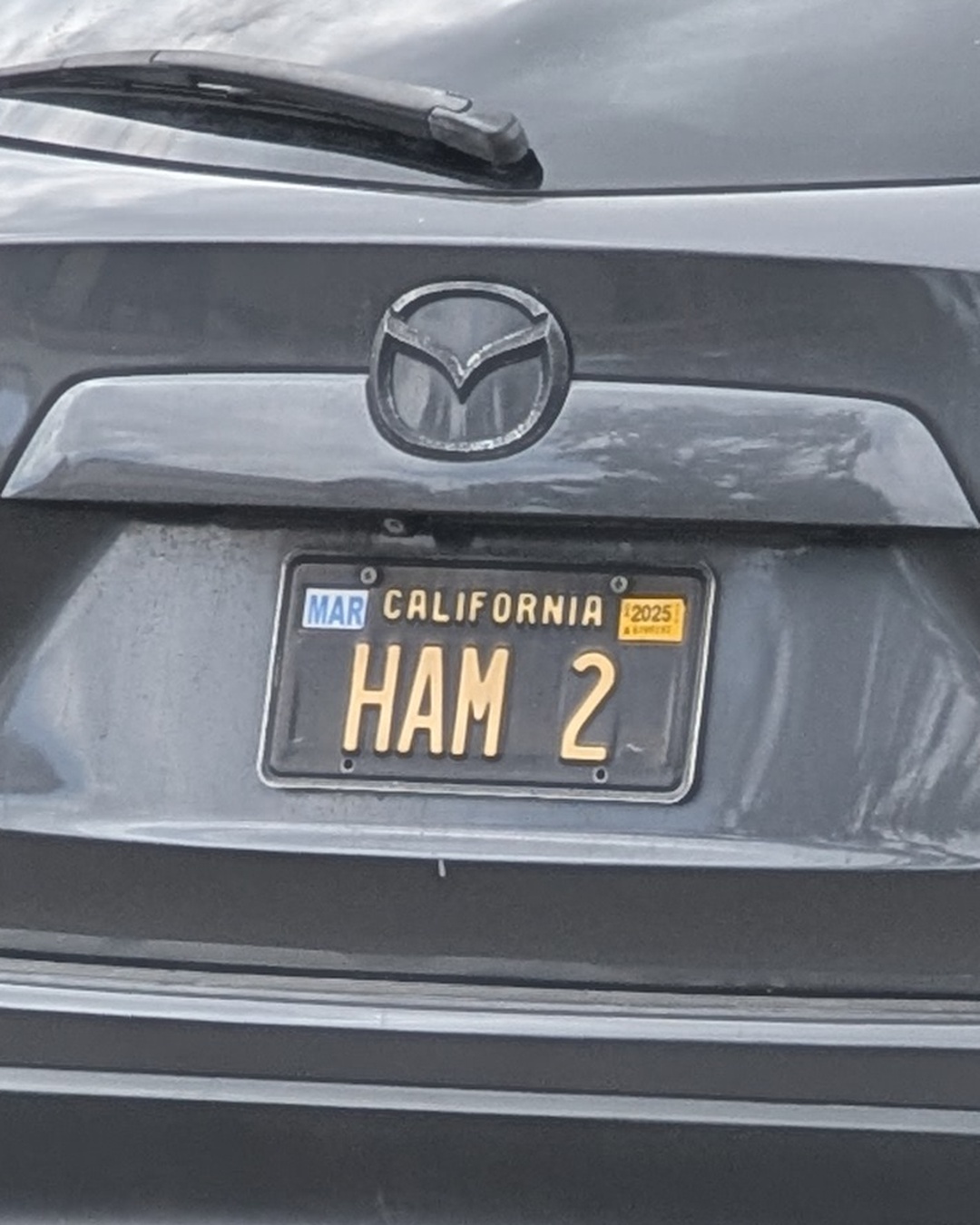 License Plate HAM 2