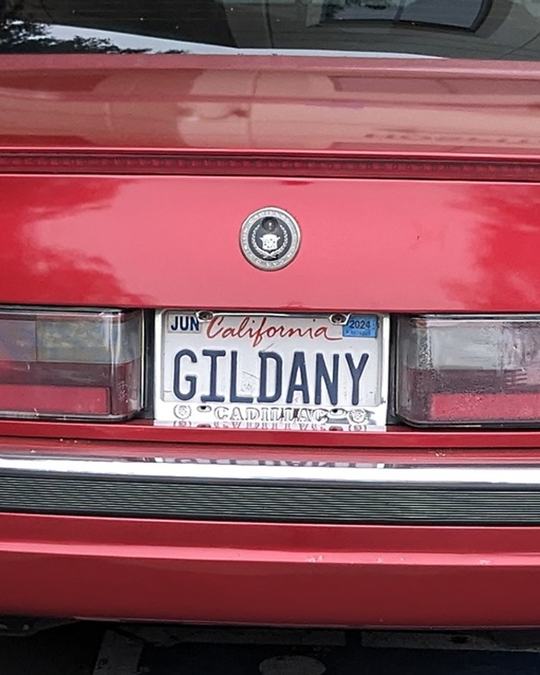 License Plate GILDANY