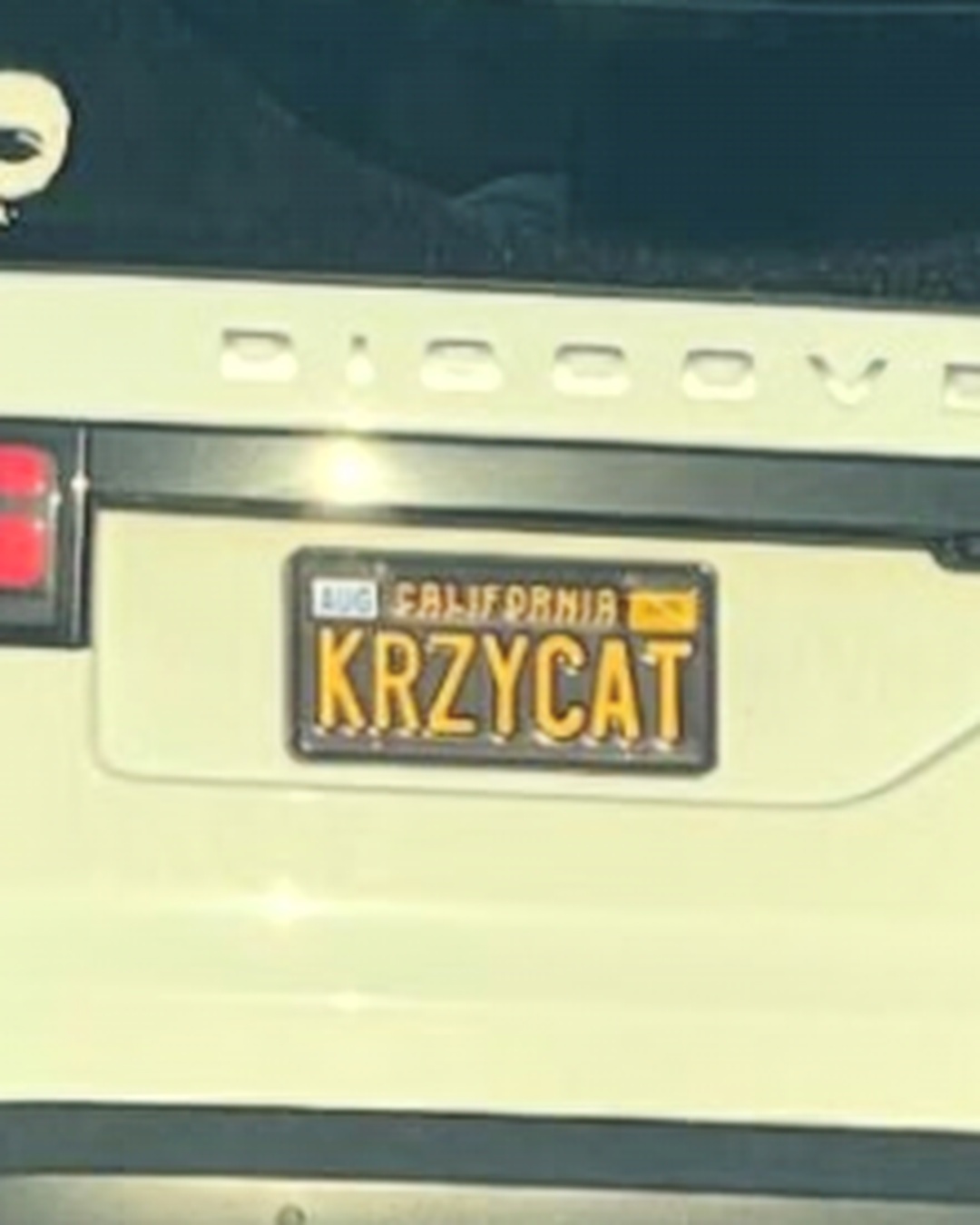 License Plate KRZYCAT