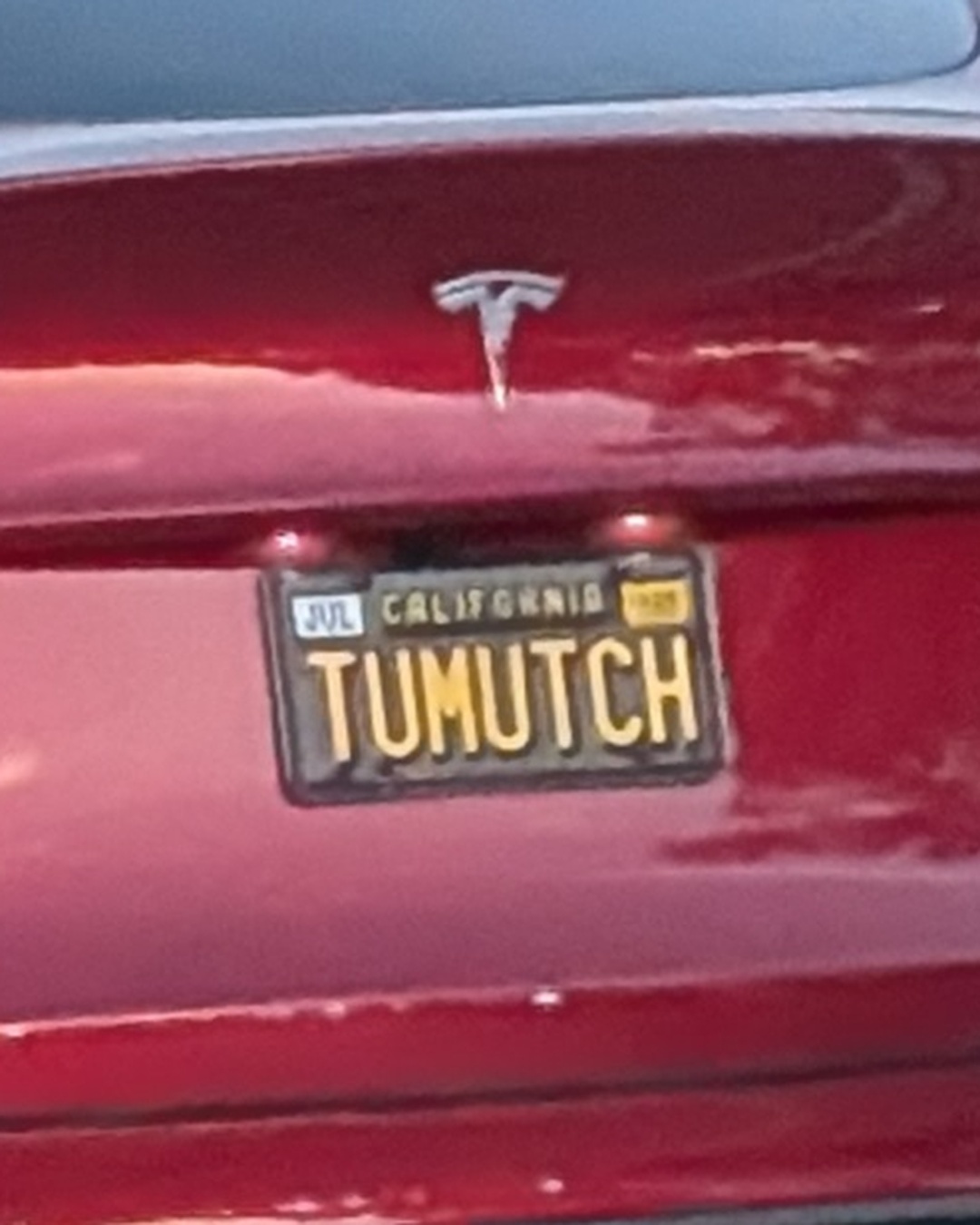 License Plate TUMUTCH