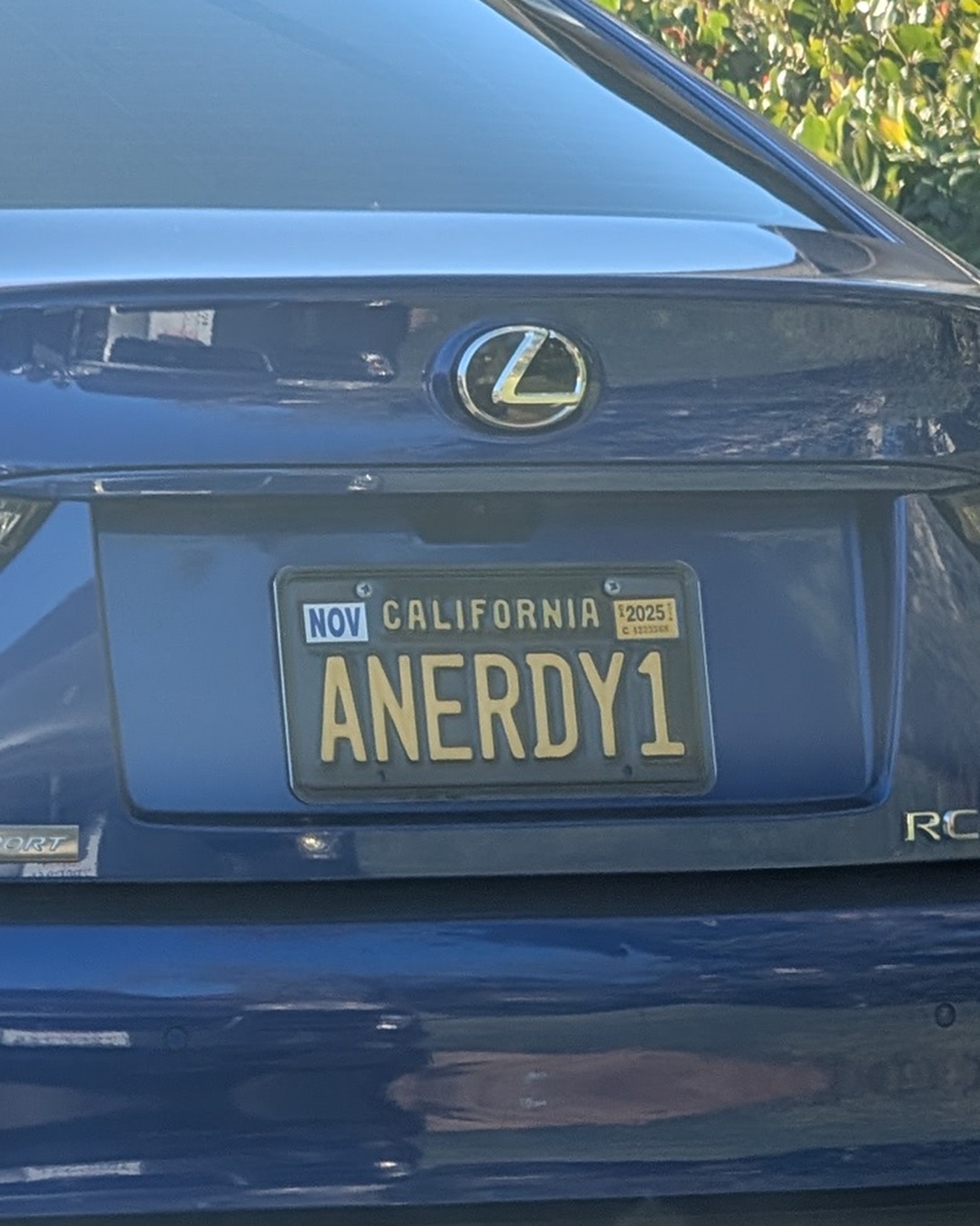 License Plate ANERDY1
