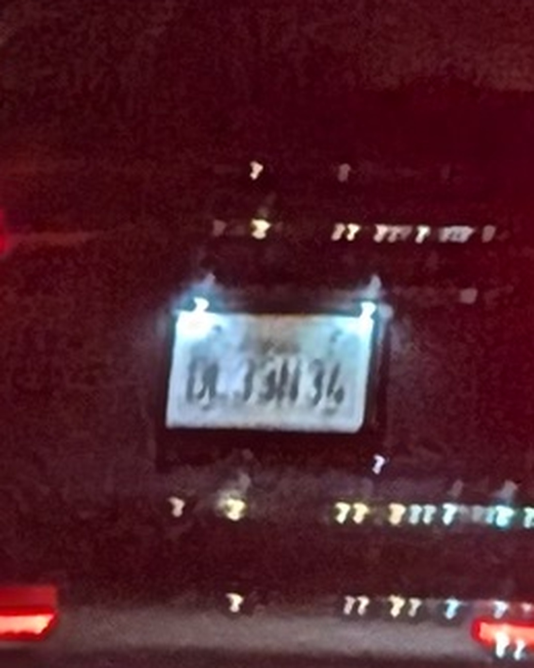 License Plate PAWPINS