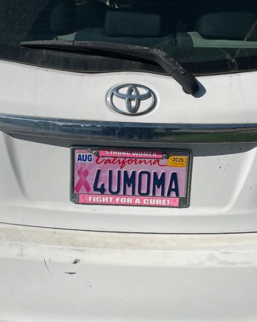 License Plate LUMOMA