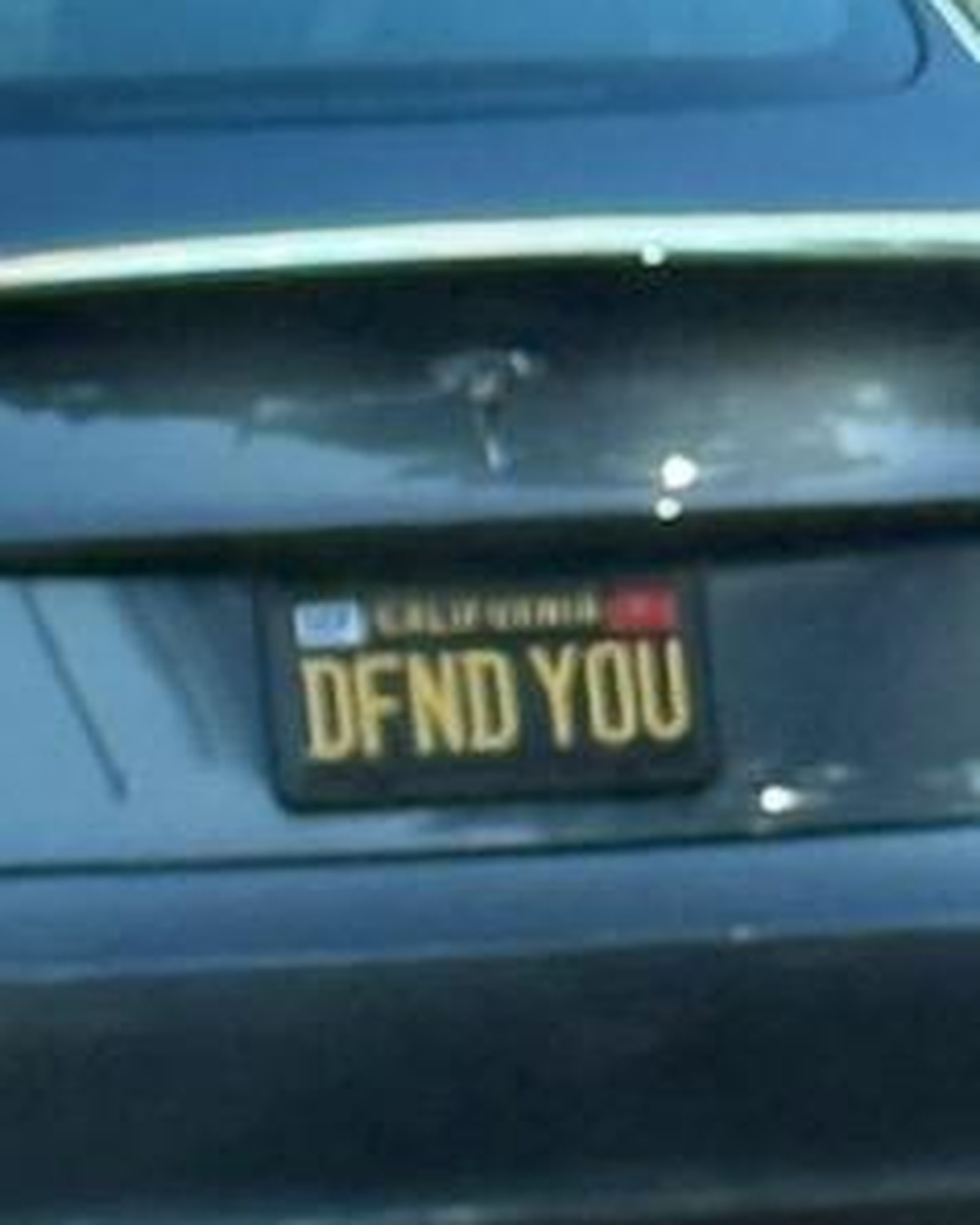 License Plate DFND YOU