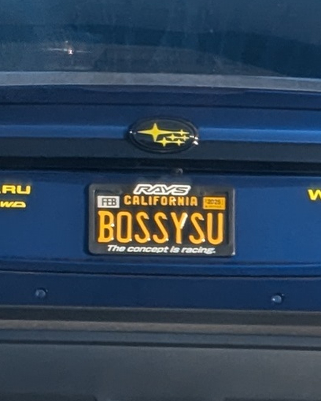 License Plate BOSSYSU